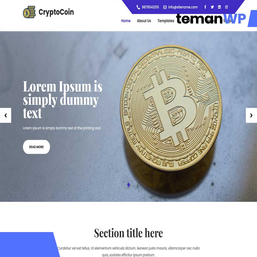 Cryptocoin Lite.1.0 - Theme WordPress