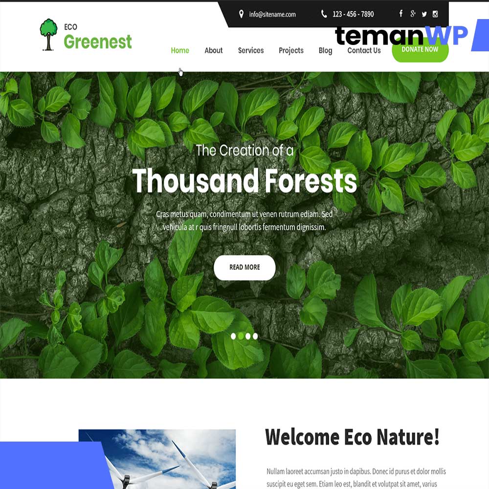Eco Greenest Lite.1.0 - Theme WordPress