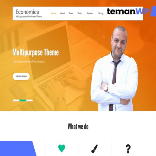 Economics.1.0.3 – Theme WordPress