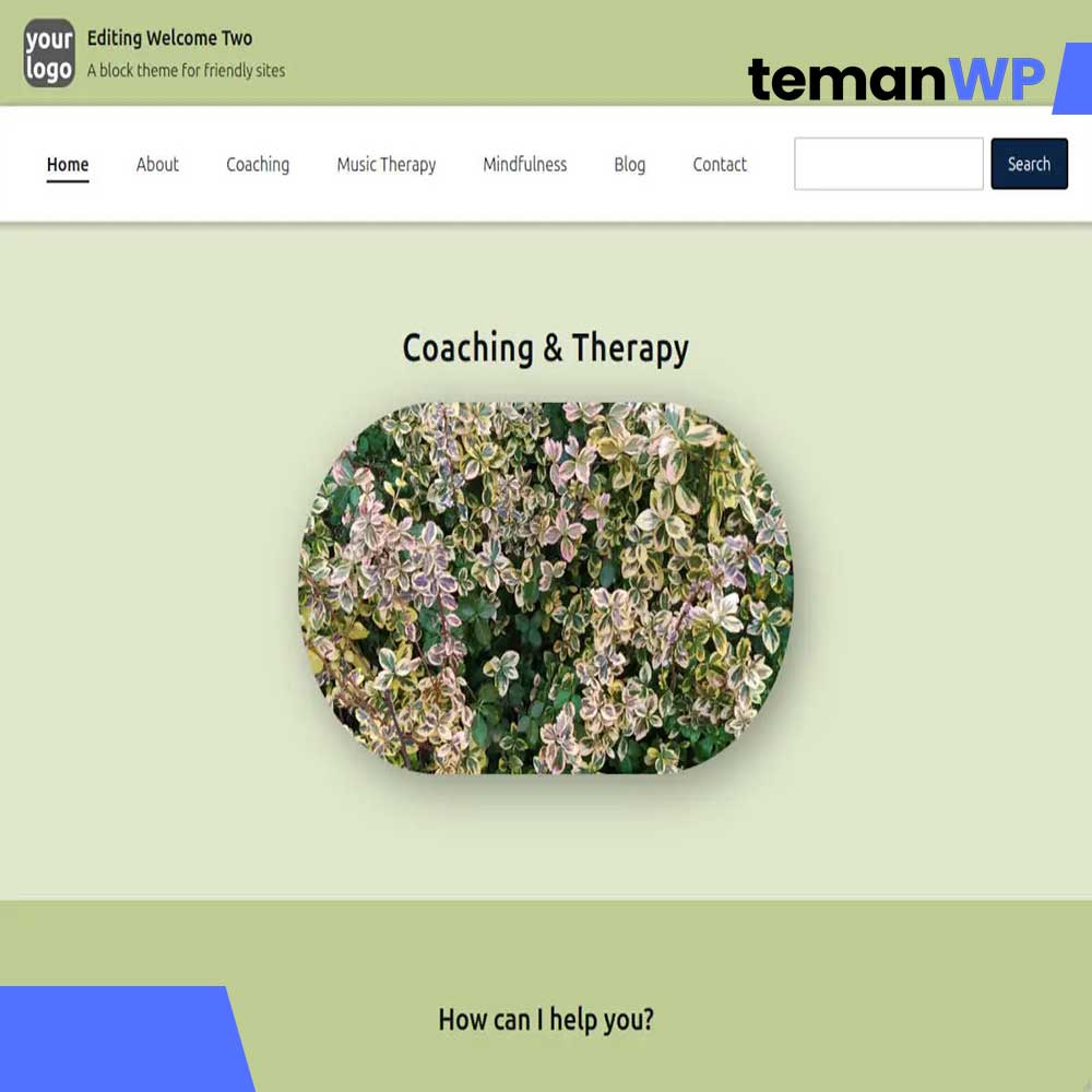 Editing Welcome Two – Theme WordPress