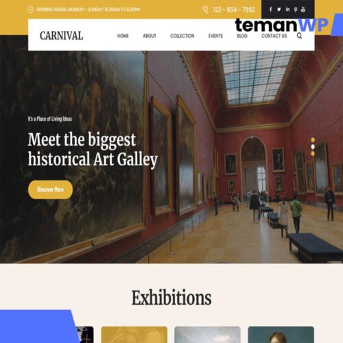 Carnival Lite.1.0 - Theme WordPress
