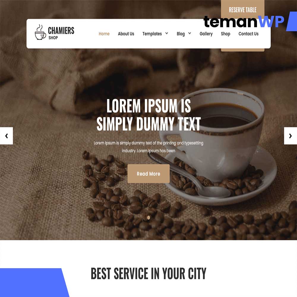 Chamiers Lite.1.1 - Theme WordPress