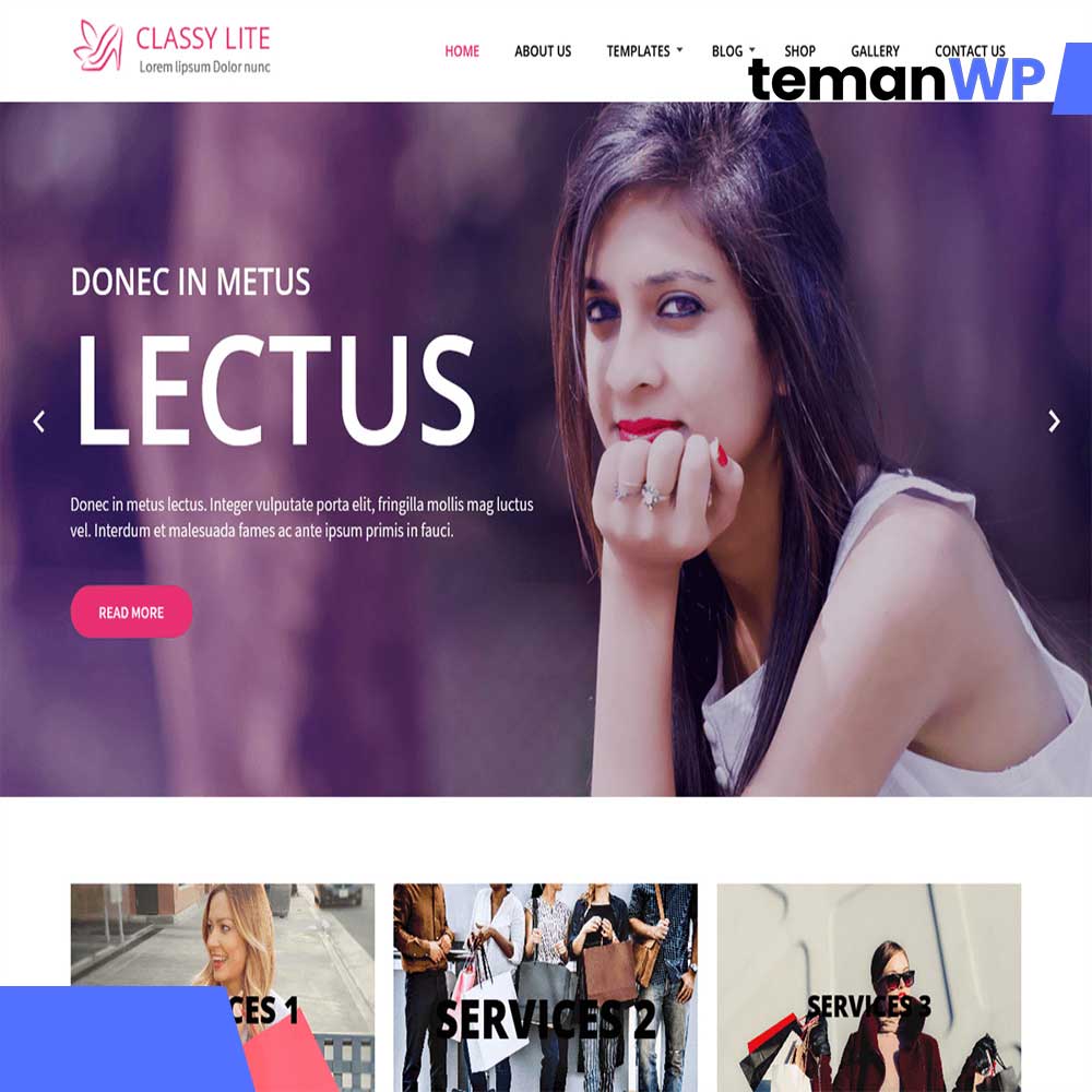 Cassy Lite.1.0 - Theme WordPress