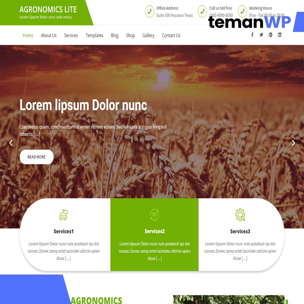 Agronomics Lite.1.0 - Theme WordPress