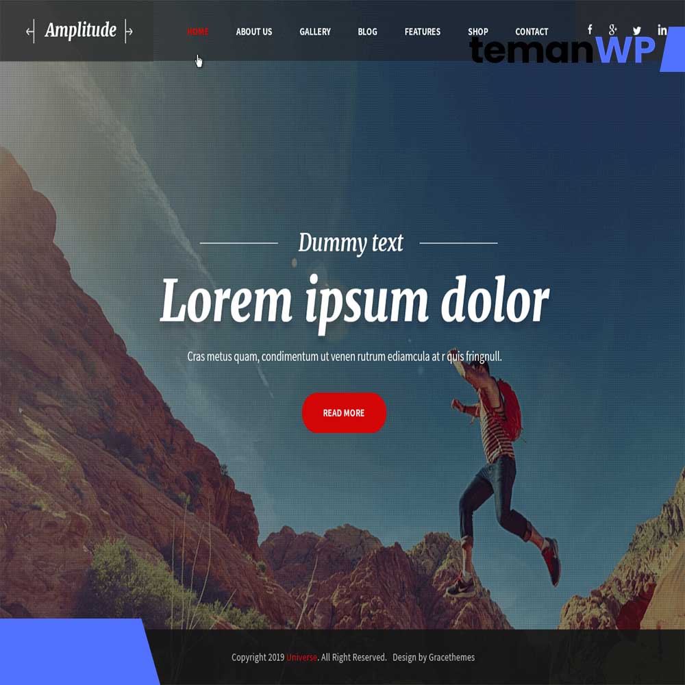 Amplitude - Theme WordPress