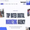 Aventive - Digital Marketing Agency Elementor Template Kit