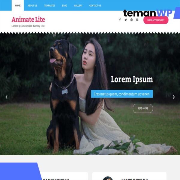 Animate Lite.1.0 - Theme WordPress