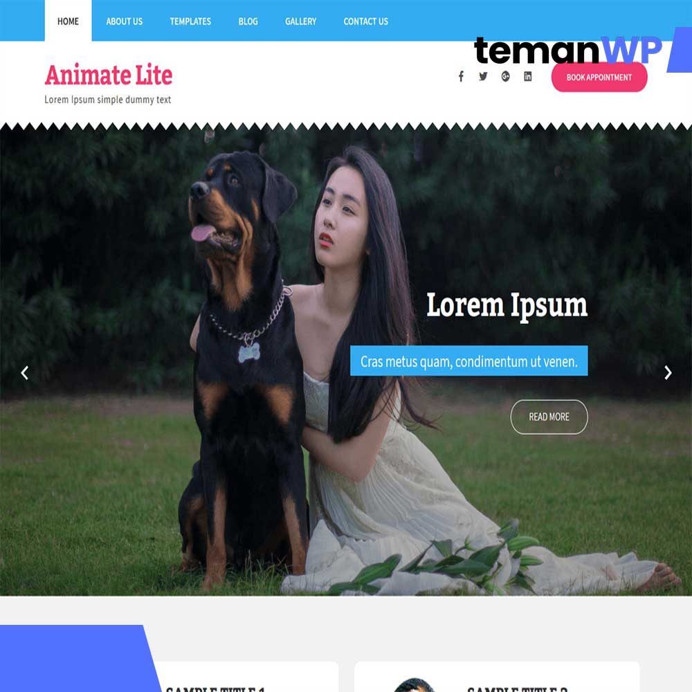 Animate Lite.1.0 - Theme WordPress