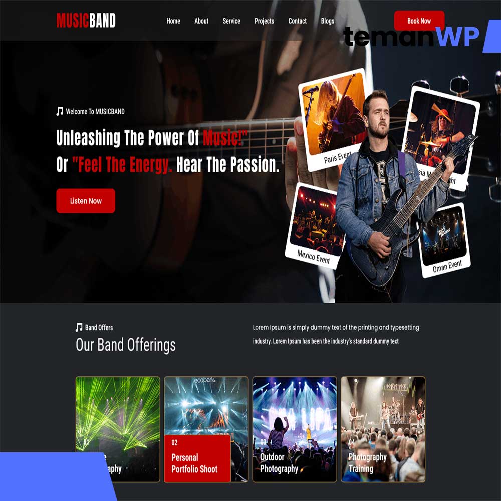 FSE Band Artist – Theme WordPress