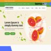 Groceem Lite.1.0 – Theme WordPress