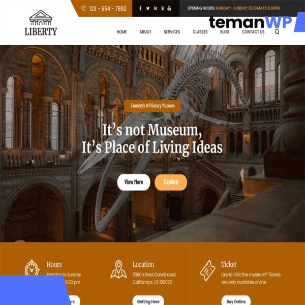 Liberty FSE.1.0 – Theme WordPress