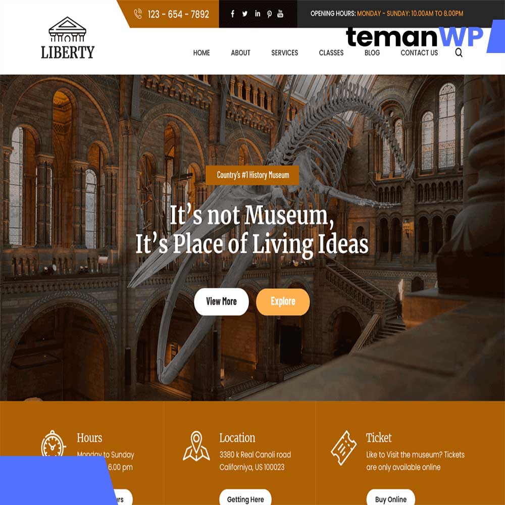 Liberty FSE.1.0 – Theme WordPress