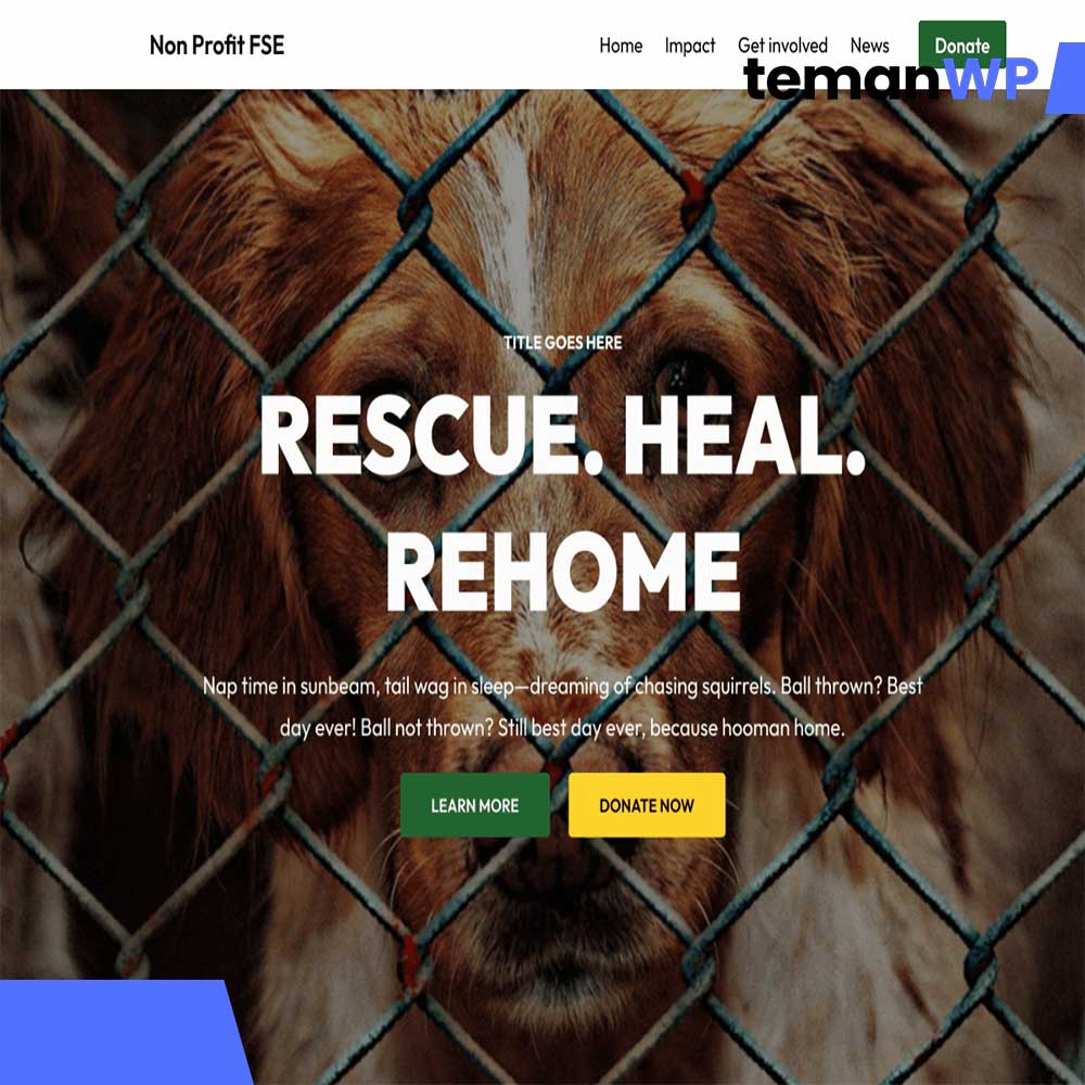 Non Profit FSE – Theme WordPress