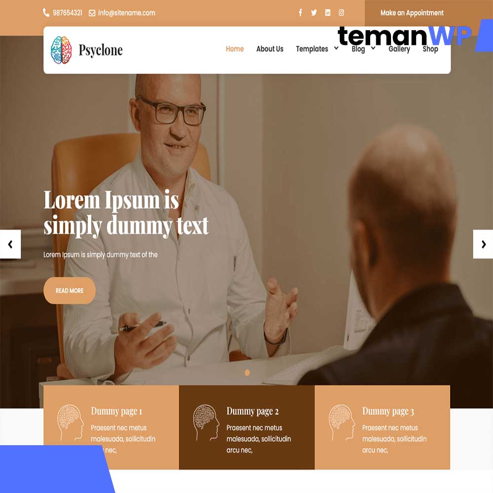 Psyclone Lite.1.0 – Theme WordPress