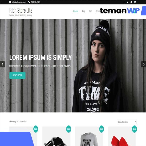 Rich Store Lite.1.0 – Theme WordPress