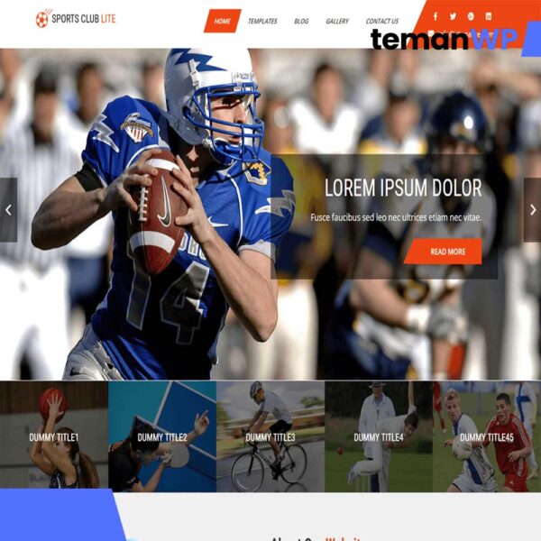 Sports Club Lite.1.0 – Theme WordPress