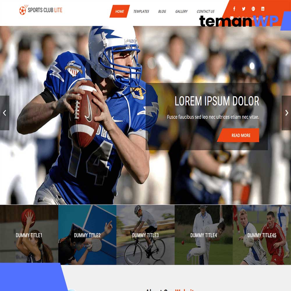 Sports Club Lite.1.0 – Theme WordPress