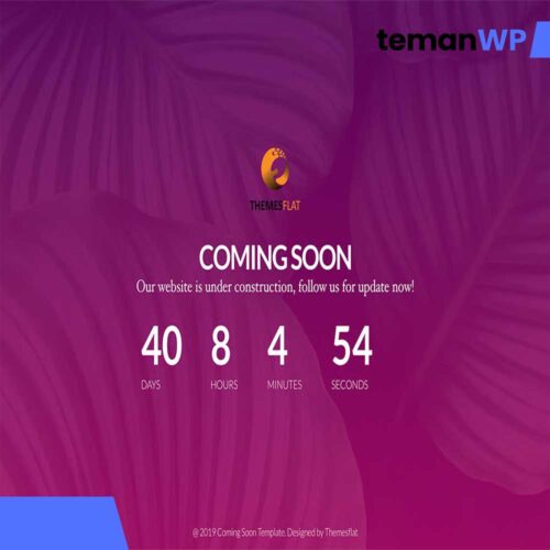 Coming Soon Widgets